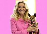 Legally Blonde Resmi Lanjut! Ini Semua yang Perlu Kamu Tahu tentang Serial “Elle”