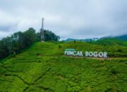 10 Rekomendasi Wisata Asri di Bogor, Cocok untuk Tempat Liburan saat Cuaca Panas!